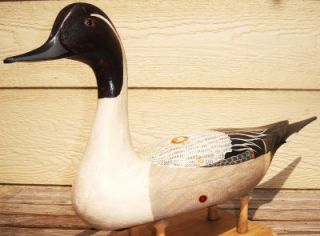 AWESOME SIGNED; 1975 Tory Ward DRAKE PINTAIL Hollow Wood Duck 