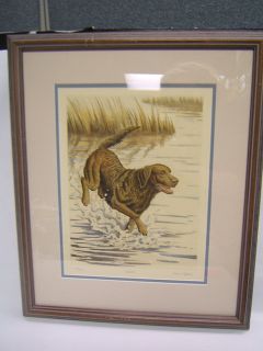   and numbered print by d chapple chessie retriever dog signed numbered