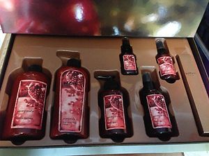 Wen by Chaz Dean Pomagranate Complete Gift Set & Gift Box Christmas 