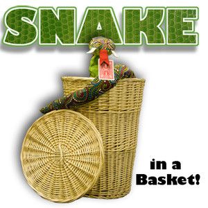   Snake Basket Magic Trick Stage Illusion Kids Card Frontier