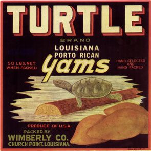 Turtle Vintage Yam Crate Label Church Point Louisiana