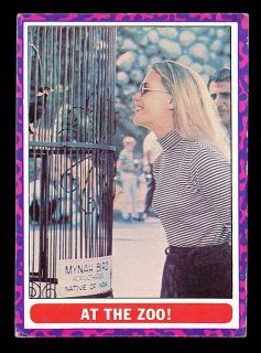 Mod Squad 1968 Topps at The Zoo 39 Peggy Lipton as Julie Barnes