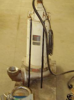  Nuclear Grade Submersible Pump Crane Deming