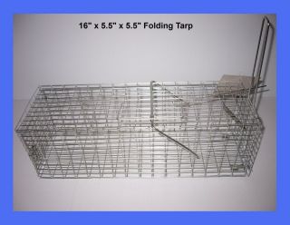  Live Trap Squirrel Chipmunk Rat Collapsible Cage