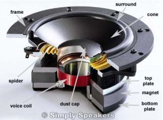 Speaker Flex LEADWIRE Repair Kit 1 for Woofer Subwoofer Voice Coil