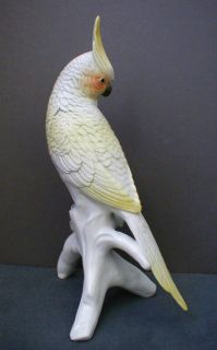 Karl Ens Porcelain Parrot Bird Figure Cockatiel