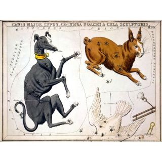 Columba Canis Major Lepus Constellation Symbol Sign Map 17x23