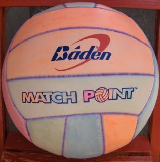   Match Point Volleyball Official Size and Weight custom color scheme