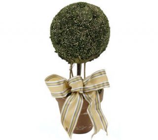 11 Moss Ball Topiary by Valerie —