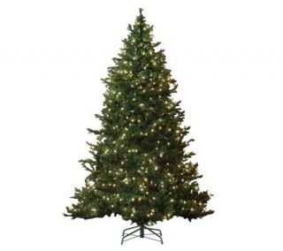 Bethlehem Lights 7.5 Prelit LED Baby Pine Slim Tree CLR —