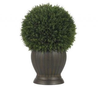Cedar Ball Topiary Plant by Nearly Natural —