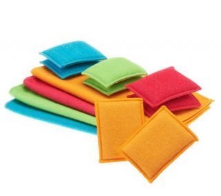 Don Asletts 16 piece Scrub & Clean Microfiber Cloth Set —