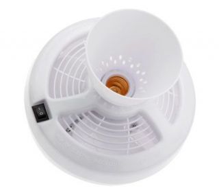Breeze Lite 8.5 Light Bulb Socket Ceiling Fan —