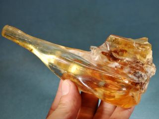 75 Madagascar Copal Amber with Fossil Insects COPAL121