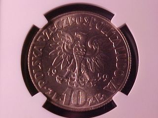 poland 10 zlotych 1959 ms 65 ngc gem copernicus thank you for bidding