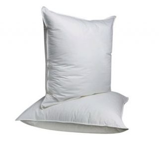 Sealy Posturepedic Set of 2 Eurosquare Pillows —