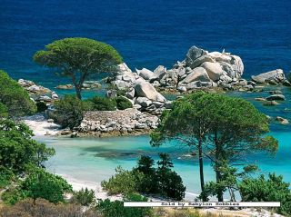  pieces jigsaw puzzle Beach of Palombaggia   Southern Corsica (874590
