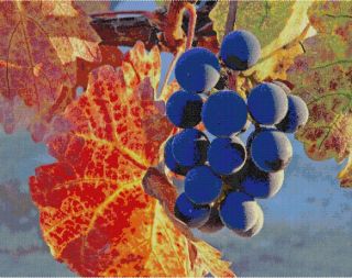 Concord Grapes in The Fall Delica Bead Peyote Pattern