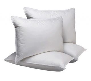 Sealy Essential Set of 4 Standard MaxiLoft Pillows   H184966