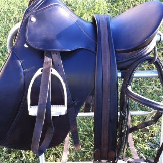 Must Have Congress Dressage Saddle 17 Bridle Girth