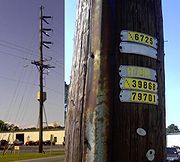 the tags on a subtransmission pole located in crisfield maryland