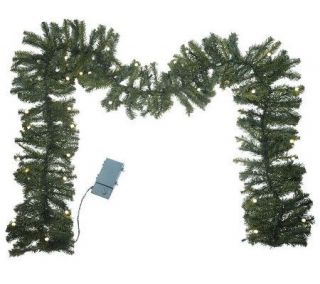 BethlehemLights BatteryOperated 9 Prelit Garland with Timer