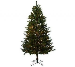 Holiday Bright Lights 6.5 LED Spruce Tree w/One Plug and 5 Year LMW 