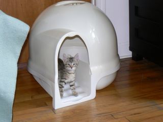 Brand New Booda Dome Cleanstep Cat Litter Box Titanium 