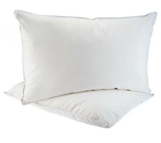 Northern Nights Set of 2 STD DownAround Pillows —