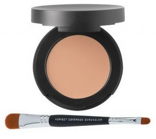 bareMinerals SPF 20 Correcting Concealer w/ Dual End Brush   A229492