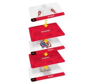 Linkology Card Game   Human Body by Learning Resources —