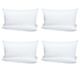 Northern Nights Set of 4 KG SZ Eurofeather Brushed Pillows —