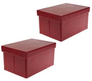 Small Collapsible Faux Leather Storage Boxes by Valerie   H197659