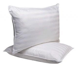 Sealy MaxiLoft Set of 2 Egyptian Cotton Pillows  Medium   H184972