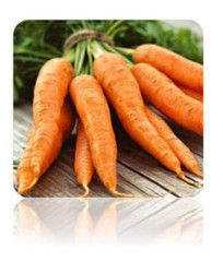Carrot Danvers_medium?2077