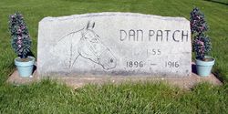 Dan Patch Two Step 1900s Sheet Music Undefeated Race Horse Horse