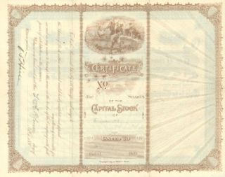 Crown Point Mining and Tunnel Co Stock Certificate