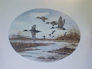 David Hagerbaumer Hand signed and numbered L E print Pintail Ducks