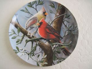 Kevin Daniel Birds of Garden The Cardinal Plate