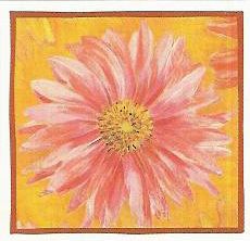 16 Pink Daisies Daisy Flowers Flower Lang Stickers