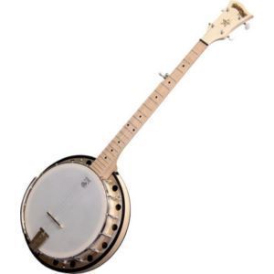 Deering Goodtimes 2 w Resonator Banjo