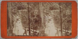 1860‘s Caldeno Falls from Path Delaware Water Gap PA