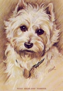 West Highland Terrier Print   Lucy Dawson   Click to Enlarge