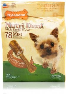 Nylabone Nutri Dent Dental Chews Filet Mignon 78 Mini