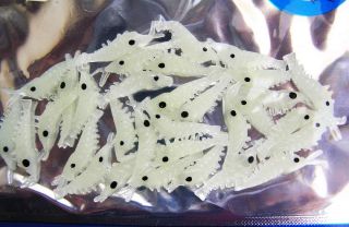Packs Cream Glow in Dark Shrimp Baits Fishing Lures 1 5 40pc New