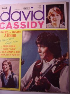 David Cassidy Paint Color Album unused