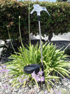 Hummingbird Solar Powered Garden Yard Stake Light Set 6