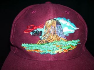 Vtg Devils Tower National Monument Wyoming Embroidered Snapback Hat