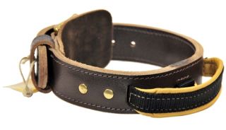 Wide Double Ply Leather Collar with Handle Simplicity