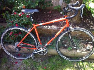 46cm DeSalvo road bike with S S couplers Handmade in USA and bag
